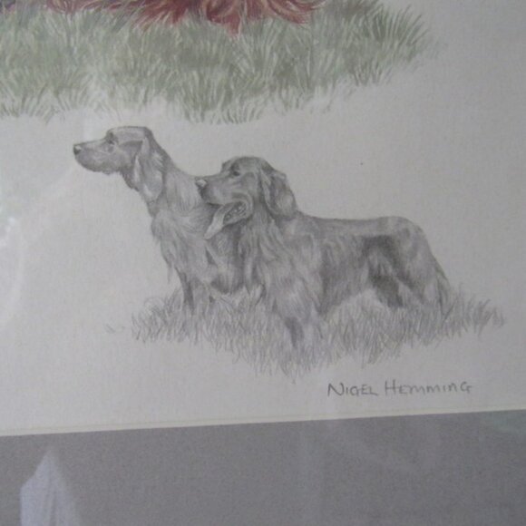 NIGEL HEMMING SIGNED PRINT/IRISH SETTERS 23 X 19 INCHES - Picture 2 of 11